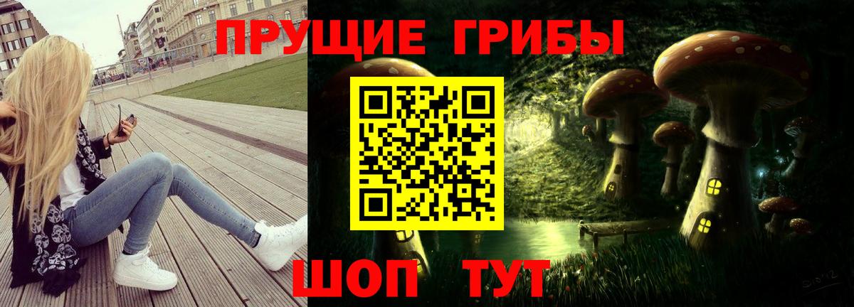 Дмитров  где продают   Вход с VPN  Псилоцибиновые грибы Psilocybine cubensis 