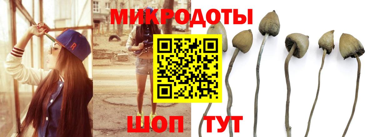 Галлюциногенные грибы мухоморы Дмитров